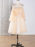 Off The Shoulder A Line Tulle Homecoming Dresses Lace Short/Mini Rjerdress