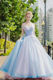 Off The Shoulder Ball Gown Tulle Floral Wedding Dresses With Appliques