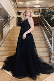 Plus Size Black A-Line Spaghetti Straps Tulle Prom Dress with Appliques Rjerdress