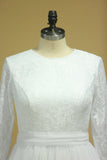 Plus Size Long Sleeves Bridal Dresses Scoop A Line Tulle & Lace Sweep Train Rjerdress