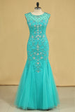 Plus Size Scoop Mermaid Party Dresses Beaded Bodice Tulle Floor Length Rjerdress