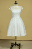 Plus Size Scoop Short Sleeve Knee-Length A Line Lace With Sash Bridal Dresses