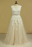 Plus Size V Neck Bridal Dresses Tulle With Applique Court Train Tulle