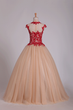 Quinceanera Dresses High Neck Ball Gown Tulle With Applique Sweep Train Rjerdress