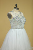 Scoop Beaded Bodice A Line Hoco Dress Short/Mini With Tulle Skirt White Plus Size Rjerdress