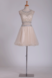 Scoop Hoco Dresses A-Line Beaded Bodice Tulle Short/Mini