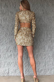 Sexy Bodycon Sequin Long Sleeve Short Cocktail Dress Homecoming Dresses RJS0967 Rjerdress