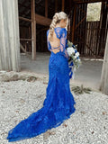 Sexy Mermaid Bateau Royal Blue Long Sleeve Open Back Lace Prom Dresses RJS09
