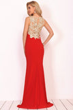 Sexy V Neck Formal Dresses Mermaid Spandex With Appliques Sweep Train Rjerdress
