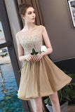 Simple Blue Tulle Backless Homecoming Dresses with Lace Graduation Dresses RJS822 Rjerdress