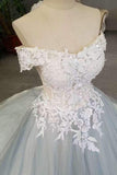 Simple Elegant Tulle Wedding Dresses Off The Shoulder  With Appliques And Sequins Rjerdress
