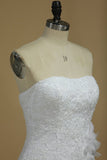 Strapless Mermaid/Trumpet Bridal Dress With Applique Organza Chapel Train Rjerdress