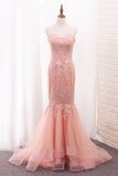 Sweetheart Mermaid Tulle Party Dresses With Applique Sweep Train Rjerdress