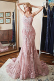 Trumpet/Mermaid Sleeveless Spaghetti Straps Sweep/Brush Train Applique Lace Prom Dresses Rjerdress