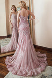 Trumpet/Mermaid Sleeveless Spaghetti Straps Sweep/Brush Train Applique Lace Prom Dresses Rjerdress