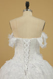 Tulle Off The Shoulder A Line Bridal Dresses With Applique Sweep Train Rjerdress