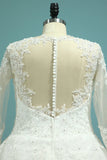 Tulle V Neck Long Sleeves Bridal Dresses A Line With Applique Rjerdress