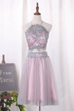 Two Pieces Halter Hoco Dresses A Line Tulle Short/Mini Lace Bodice Rjerdress