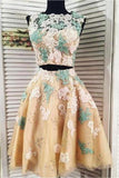 Two Pieces Lace Tulle Homecoming Dress Appliques Rjerdress