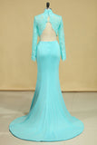 Two Pieces Party Dresses Mermaid Spandex & Tulle With Applique Rjerdress
