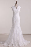 V Neck Bridal Dresses Tulle With Applique And Sash Sweep Train Rjerdress