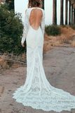 V Neck Long Sleeves With Applique Mermaid Wedding Dresses Rjerdress