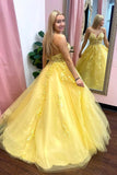 V Neck Tulle Lace Long Evening Dress,Tulle Ball Gown Prom Dress With Appliques Rjerdress