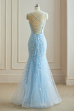 Mermaid Spaghetti Straps Lace Appliques Prom Dresses Long Formal Dress rjs455